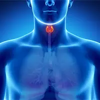 Возможности Су Джок терапии в эндокринологии. Занятие № 5