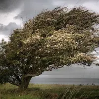 Точка опоры