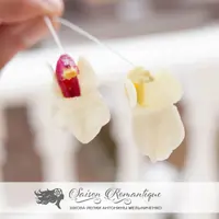 Орхидея дендробиум-фаленопсис из полимерной глины