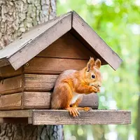 Баланс: Дом и дело