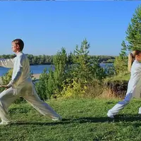 10 форм тайцзицюань