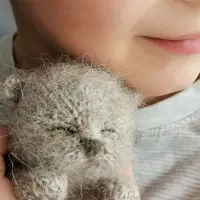 Спящий котенок спицами