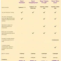Детский клуб онлайн. Как запустить и развить