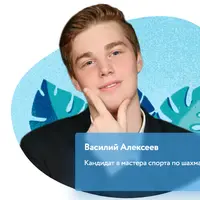 Шахматы. Начальный уровень