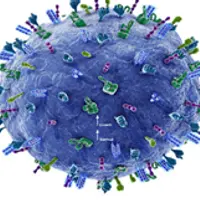 Как стать сильнее вируса. Новый противовирусный вариант жизни