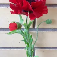 Махровый мак из холодного фарфора