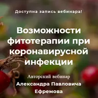 Возможности фитотерапии при коронавирусной инфекции