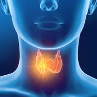 Щитовидная железа: щит здоровья