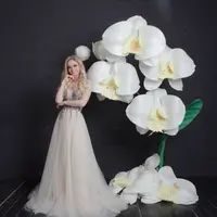 Ветки орхидеи