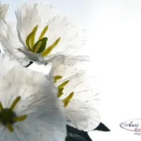 Рецепт прозрачного холодного фарфора: Полимерный хрусталь или Морское стекло