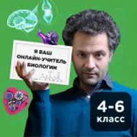 Биология для школьников 4-6 классов
