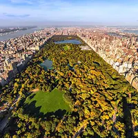 Онлайн-прогулка по Центральному парку в реальном времени