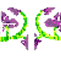 Стройность и Красота