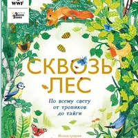 Сквозь лес. По всему свету от тропиков до тайги