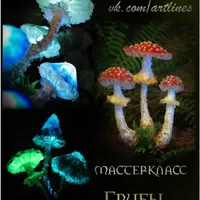 Грибы-светильники