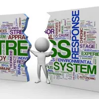 Тело – жесткий диск для эмоций