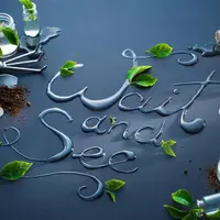 Мини-курс по фото Листья и цветы