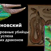 Хладнокровные убийцы: секреты успеха настоящих драконов