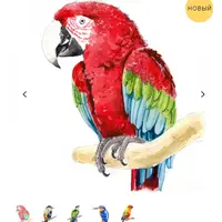 Мини-курс «Птицы»