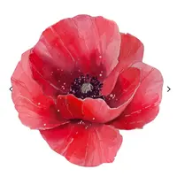 Акварель: Голубая гортензия, Авокадо и Мак