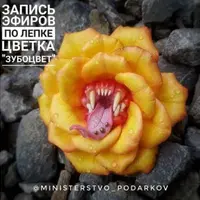 Лепка цветка «Зубоцвет»