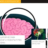 Мозг и потребности