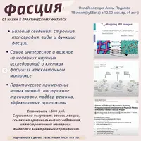 Фасция: от науки к практическому фитнесу