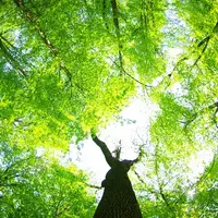 Зверюга: Разбуди в себе скрытые резервы энергии и активности