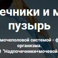 Надпочечники и мочевой пузырь. Строим диалог с мочеполовой системой