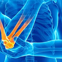 Плечо. Запястье. Локоть