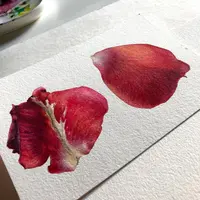 Все про красные цветы