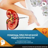 Помощь при почечной недостаточности
