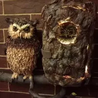 Сова и совенок