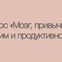Мозг, привычки, режим и продуктивность