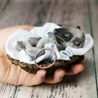 Создание подвижного крысёнка