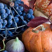 Цикл и питание для здоровья