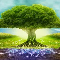 Я и сила моего рода. Трансформация сценариев