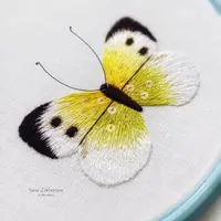 Вышивка: Бабочка