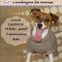 Вязание одежды для питомца. Сшивной способ