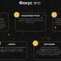 Фокус. Двухнедельный интенсив по выстраиванию продаж в сторис