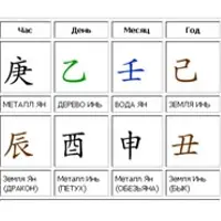 Основы Бацзы. Модуль 1