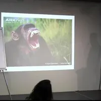 Любовь глазами зоолога