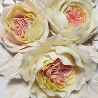 Роза Остина