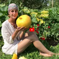 Тыквенно-витаминный бум