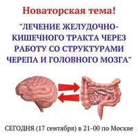 Лечение желудочно-кишечного тракта через работу со структурами черепа и головного мозга