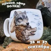 Прямой эфир по лепке волков на кружке