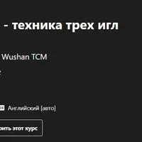 Китайская акупунктура: техника трех игл Цзинь