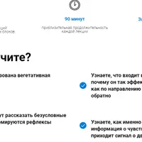 Основы нейронаук для начинающих. Часть 2: Уровень — нервная система
