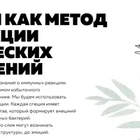 Специи как метод коррекции химических нарушений