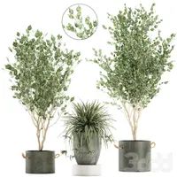 Сборник 3d моделей. Set 13